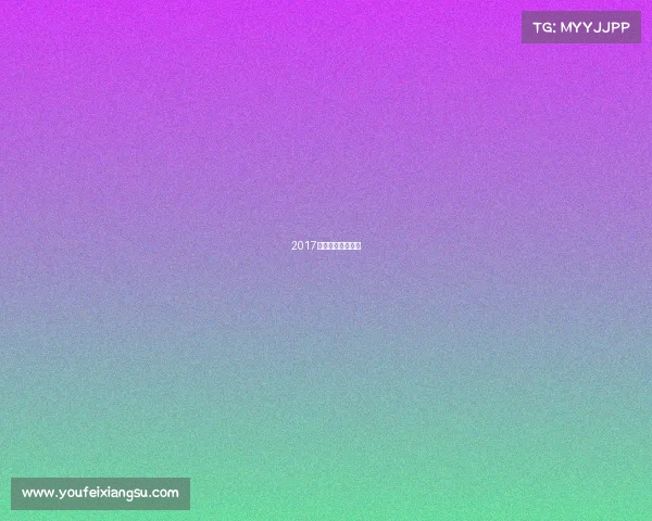 2017大脚赛车比赛视频