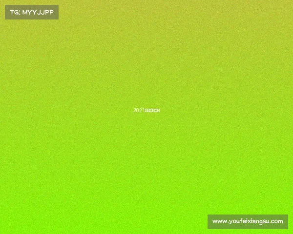 2021城市篮球比赛